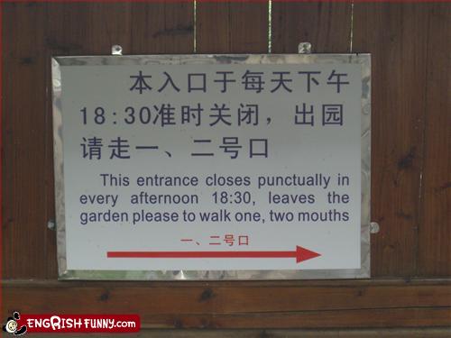 really bad translation funny picture leaves the garden please walk to one