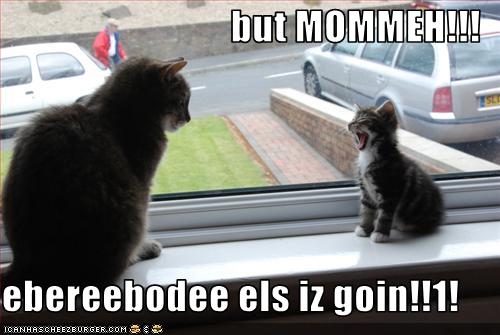 funny cat pictures lolcats but mum everybody else is going