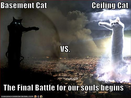 funny cat pictures ceiling cat vs basement cat let the battle for your souls begin