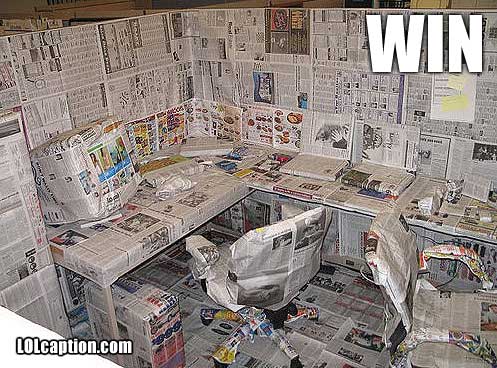 win-pics-office-covered-in-newspaper