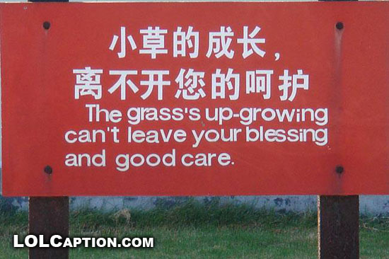 lolcaption-funny-sign-grass-up-growning