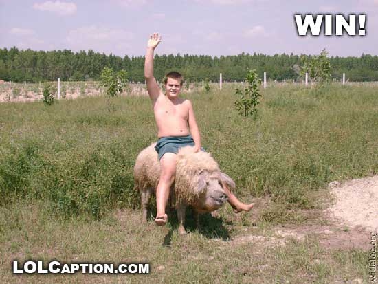 funny-win-pictures-riding-a-pig-lolcaption