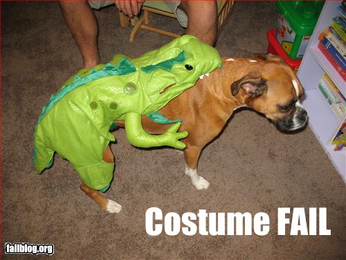 funny-picture-costume-fail-loldog