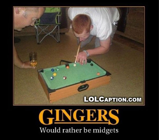 gingers-would-rather-be-midgets-demotivational-poster