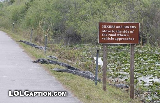 lolcaption-funny-fail-pics-move-to-side-of-road-crocodiles