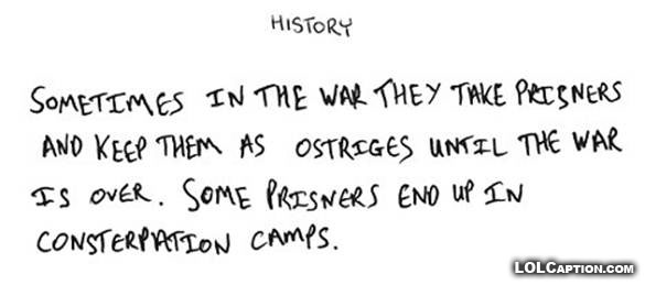 history-ostriges-war-consterpation-camps-why-teachers-drink-funny-exam-answers-lolcaption