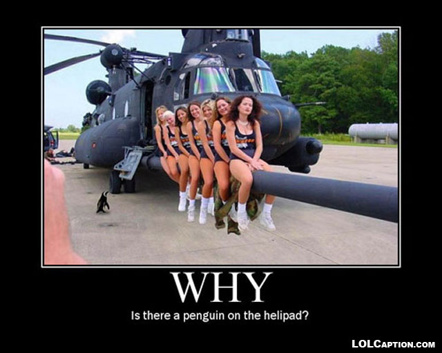why-penguin-on-helipad-demotivational-poster-lolcaption