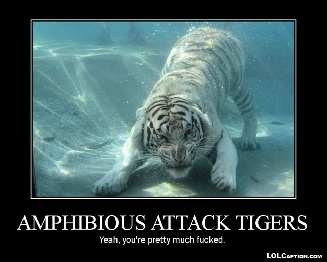 amphibious-attack-tiger-funny-demotivational-posters-lolcaption