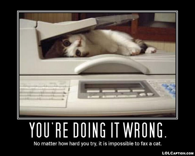 funny-demotivational-posters-lolcaption-fax-cat--youre-doing-it-wrong