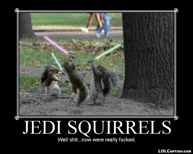 jedi-squirrels-funny-demotivational-posters-lolcaption