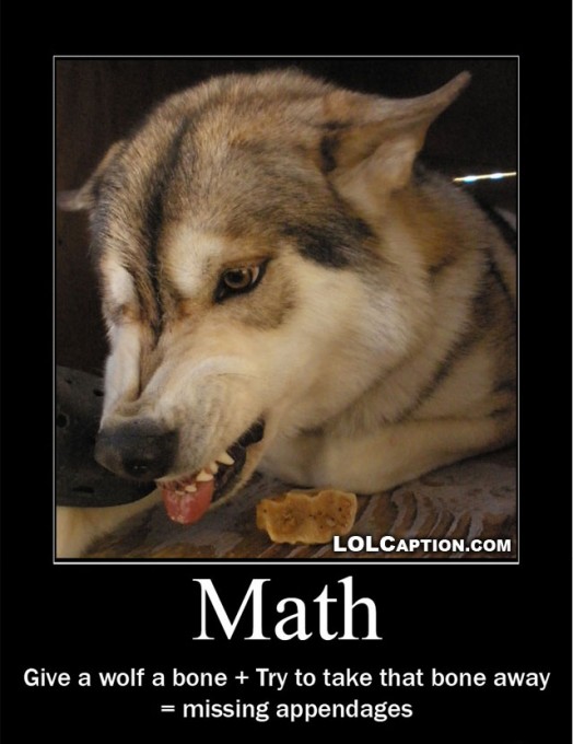 funny-demotivational-poster-lolcaption-wolf-math