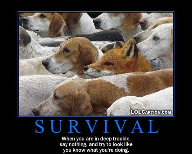 funny-demotivational-posters-fox-hound-survival-lolcaption