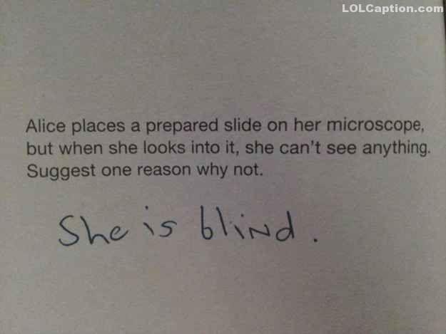 lolcaption-funny-pictures-with-captions-interesting-answer-exam