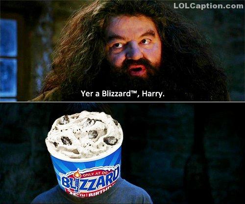 lolcaption-funny-harrypotter-blizzard-dairyqueen