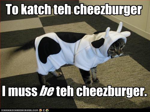 funny-pictures-cat-dressed-as-cow
