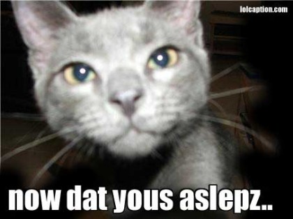 funny-pictures-smudgecat-now-you-aslepz