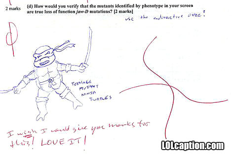 funny-fail-pics-exam-question-funny-tmnt-ninja-turtles