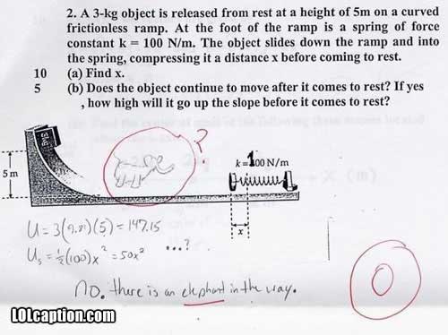 funny-fail-pics-how-to-fail-an-exam-elephant-in-the-way