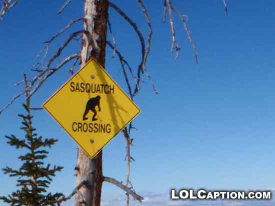 lolcaption-funny-signs-sasquatch-crossing-strange-sign