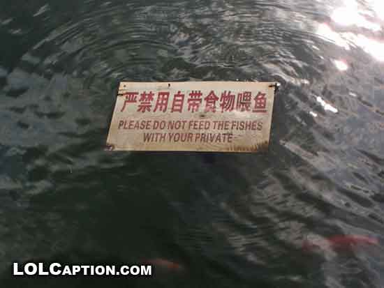 please-do-not-feed-the-fishes-with-your-private-lol-wtf-lolcaption-wanhuaxi-park
