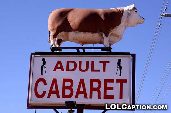 lolcaption-adult-cabaret-fail