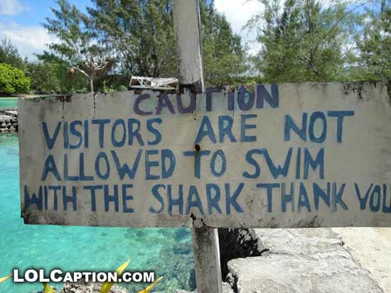 lolcaption-funny-not-allowed-to-swim-with-shark-sign