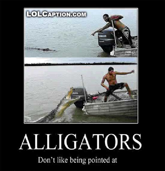 funny-demotivational-posters-alligators-dont-like-being-pointed-at-lolcaption