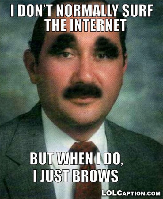 lolcaption-funny-photos-brows-the-net