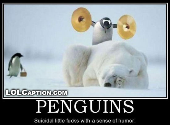 penguins-how-do-they-work-suicidal-lolcaption-funny-demotivationals