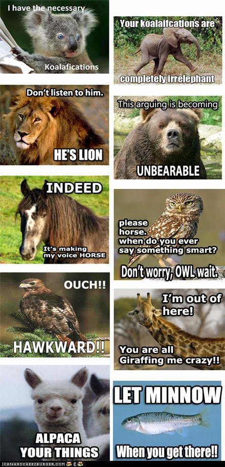 funny-pictures-with-funny-captions-animal-commentary