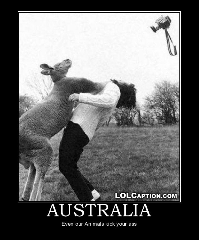 lolcaption-funny-demotivational-postes-australia-where-even-animals-kick-your-ass