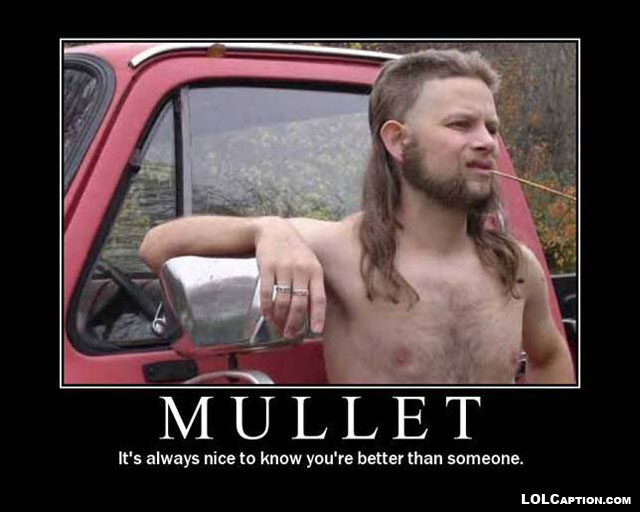 funny-demotivational-posters-lolcaption-mullet-better-than-someone-humor
