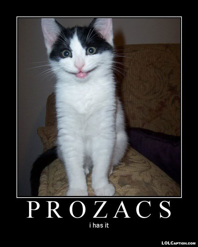funny-demotivational-posters-lolcaption-prozacs-i-has-it-funny-pictures-of-cats