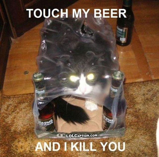 funny-cat-pictures-with-captions-lolcaption-sayings-beer-cats-photos