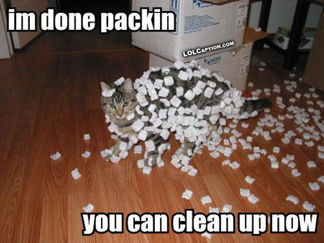 funny-cat-pictures-with-captions-photos-cats-humor-funnies-lolcaption