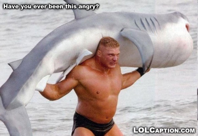 funny-pictures-with-captions-lolcaptions-shark-wrestling-have-you-ever-been-this-angry-funny-pictures