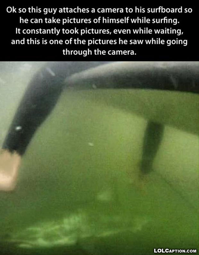 oh-shit-moments-lolcaption-shark-surfing-funny-epic-fail-pics