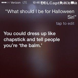 lolcaption-funny-pictures-with-captions-siri-funny-responses